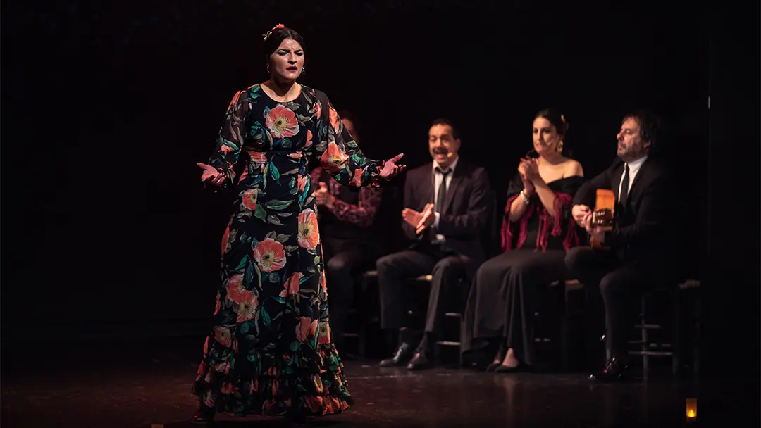 Sesión de fotos de espectáculo en Madrid